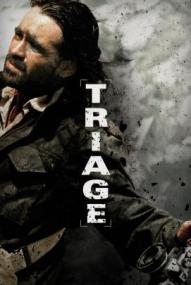 Triage ([xfvalue_year limit=