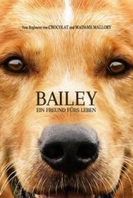 Bailey – Ein Freund fürs Leben ([xfvalue_year limit=