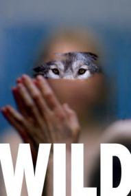 Wild ([xfvalue_year limit=