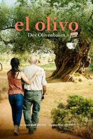 El Olivo - Der Olivenbaum
