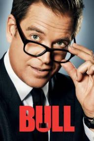 Bull - Staffel 3