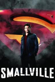 Smallville - Staffel 10 ([xfvalue_year limit=