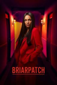 Briarpatch - Staffel 1 ([xfvalue_year limit=