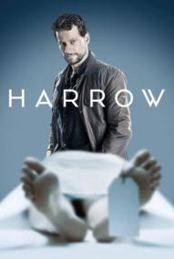 Harrow - Staffel 1 ([xfvalue_year limit=