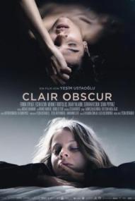 Clair Obscur ([xfvalue_year limit=