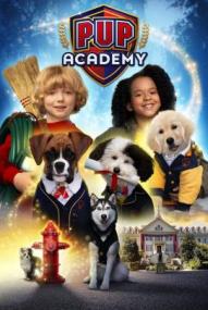 Welpenakademie - Staffel 2 ([xfvalue_year limit=