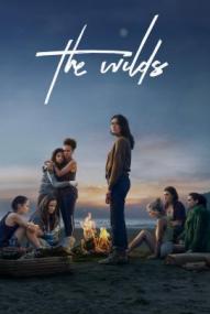The Wilds - Staffel 1 ([xfvalue_year limit=