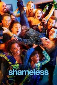Shameless - Nicht ganz nüchtern - Staffel 11 ([xfvalue_year limit=