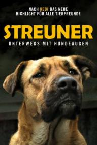 Streuner - Unterwegs mit Hundeaugen