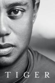 Tiger - Staffel 1 ([xfvalue_year limit=