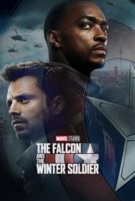 The Falcon and the Winter Soldier - Staffel 1