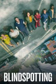 Blindspotting - Staffel 1