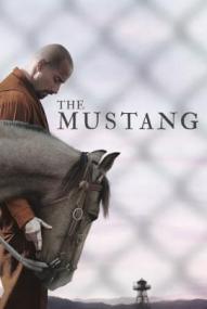 The Mustang ([xfvalue_year limit=