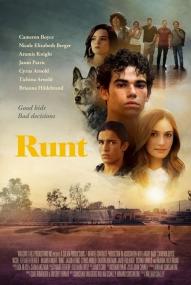 Runt ([xfvalue_year limit=