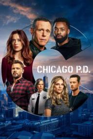 Chicago P.D. - Staffel 8 ([xfvalue_year limit=