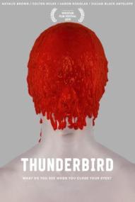 Thunderbird - Schatten der Vergangenheit ([xfvalue_year limit=