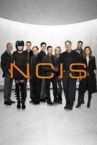 Navy CIS - Staffel 19