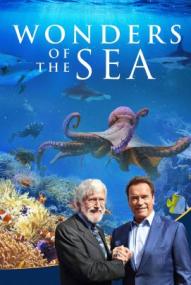Wonders of the Sea