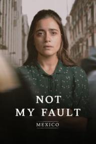 Nicht meine Schuld: Mexiko - Staffel 1 ([xfvalue_year limit=