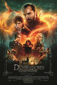 Phantastische Tierwesen 3: Dumbledores Geheimnisse ([xfvalue_year limit=