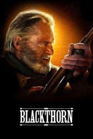 Blackthorn ([xfvalue_year limit=