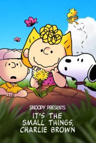 Snoopy präsentiert: Es sind die kleinen Dinge Charlie Brown ([xfvalue_year limit=