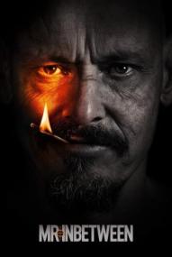 Mr. Inbetween - Staffel 3