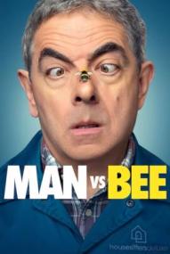 Man Vs Bee - Staffel 1 ([xfvalue_year limit=
