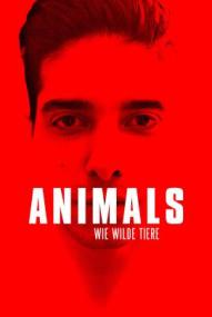 Animals - Wie wilde Tiere