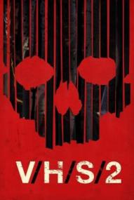 S-VHS aka. V/H/S/2 ([xfvalue_year limit=
