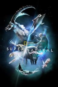 Super/Natural - Staffel 1 ([xfvalue_year limit=