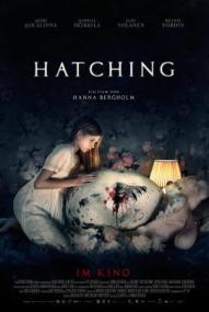 Hatching