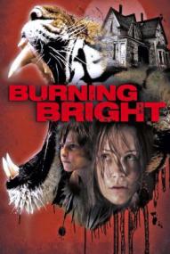 Burning Bright – Tödliche Gefahr ([xfvalue_year limit=