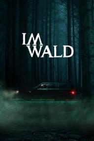 Im Wald ([xfvalue_year limit=