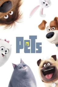 Pets ([xfvalue_year limit=