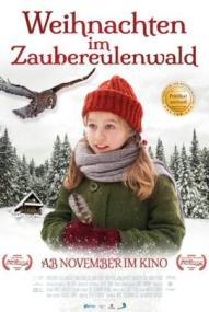 Weihnachten im Zaubereulenwald