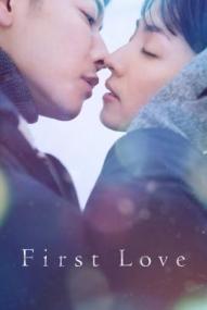 First Love - Staffel 1 ([xfvalue_year limit=