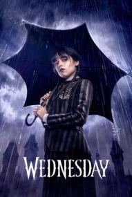 Wednesday - Staffel 1