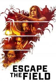 Escape the Field ([xfvalue_year limit=