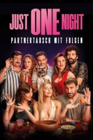 Just One Night - Partnertausch mit Folgen ([xfvalue_year limit=