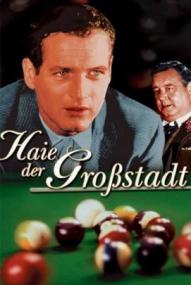 Haie der Grosstadt