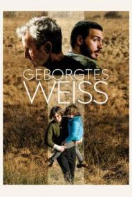 Geborgtes Weiss ([xfvalue_year limit=