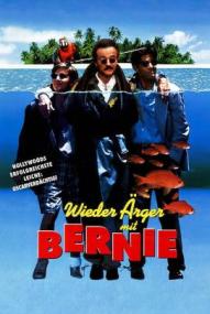 Wieder Ärger mit Bernie