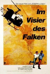 Im Visier des Falken ([xfvalue_year limit=