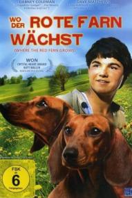 Wo der rote Farn wächst