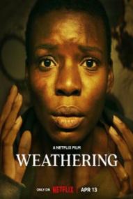 Weathering ([xfvalue_year limit=