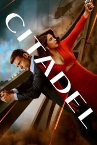 Citadel - Staffel 1 ([xfvalue_year limit=