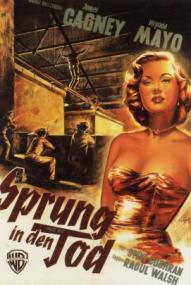 Sprung in den Tod ([xfvalue_year limit=