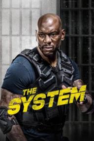 The System ([xfvalue_year limit=