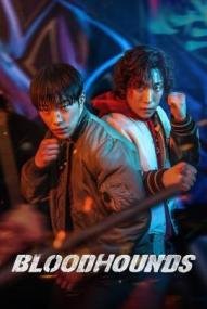 Bloodhounds - Staffel 1 ([xfvalue_year limit=